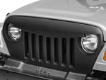 Angry Bird Grill - TJ